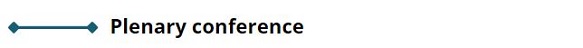 plenary_conference_3.JPG